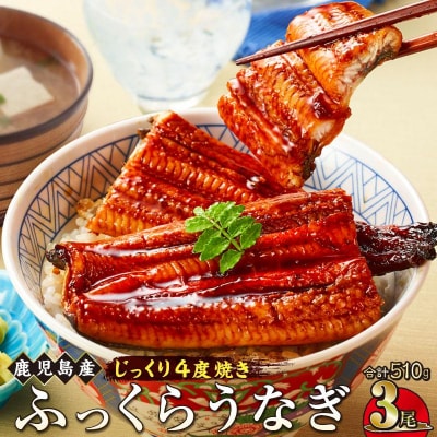 うなぎ 蒲焼 170g×3尾【鹿児島産】地下水で育てた逸品鰻