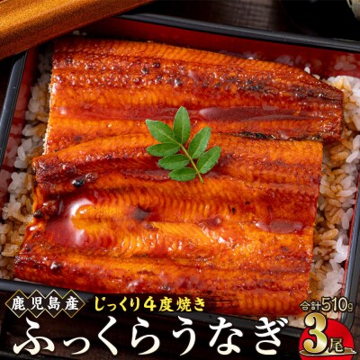 うなぎ 蒲焼 170g×3尾【鹿児島産】地下水で育てた逸品鰻