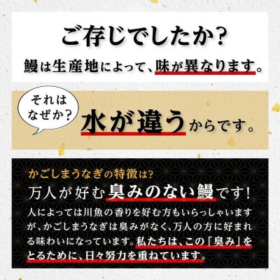 うなぎ 蒲焼 170g×3尾【鹿児島産】地下水で育てた逸品鰻