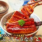 うなぎ 蒲焼 200g×2尾【鹿児島産】地下水で育てた逸品鰻