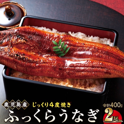 うなぎ 蒲焼 200g×2尾【鹿児島産】地下水で育てた逸品鰻