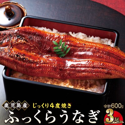 うなぎ 蒲焼 200g×3尾【鹿児島産】地下水で育てた逸品鰻