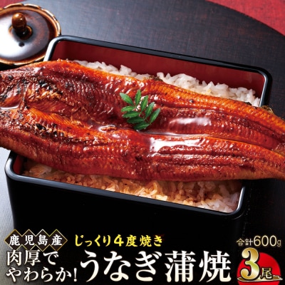 うなぎ 蒲焼 200g×3尾【鹿児島産】地下水で育てた逸品鰻