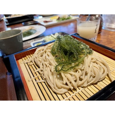 海の幸　朝採れぷちぷち海ぶどう 朝採れ新鮮 海ぶどう～MOBAKO育ちのSEAGRAPES!?～
