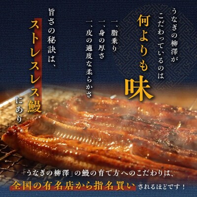 うなぎの柳澤　うなぎ蒲焼5尾(計850g)