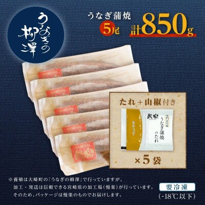 うなぎの柳澤　うなぎ蒲焼5尾(計850g)