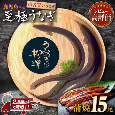 うなぎの柳澤　うなぎ蒲焼15尾(計2.55kg)