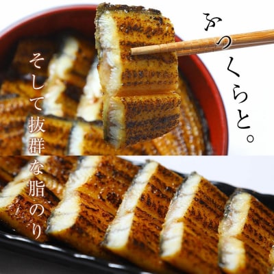 鹿児島県大隅産　千歳鰻の鰻白焼・鰻蒲・鰻焼肝セット