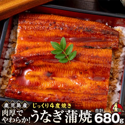 うなぎ 蒲焼 170g×4尾【鹿児島産】地下水で育てた逸品鰻