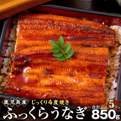うなぎ 蒲焼 170g×5尾【鹿児島産】地下水で育てた逸品鰻