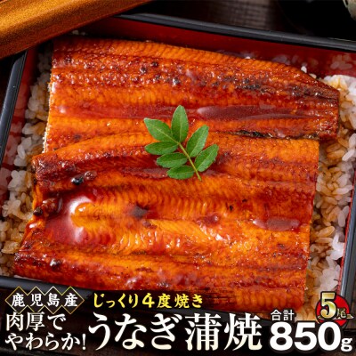 うなぎ 蒲焼 170g×5尾【鹿児島産】地下水で育てた逸品鰻