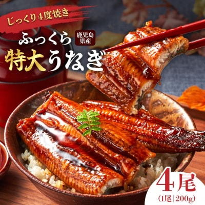 うなぎ 蒲焼 200g×4尾【鹿児島産】地下水で育てた逸品鰻