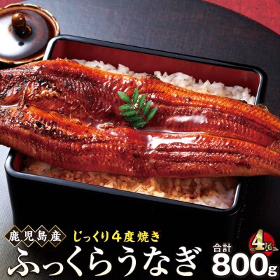 うなぎ 蒲焼 200g×4尾【鹿児島産】地下水で育てた逸品鰻