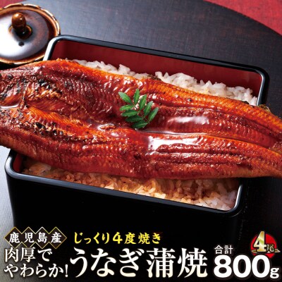 うなぎ 蒲焼 200g×4尾【鹿児島産】地下水で育てた逸品鰻