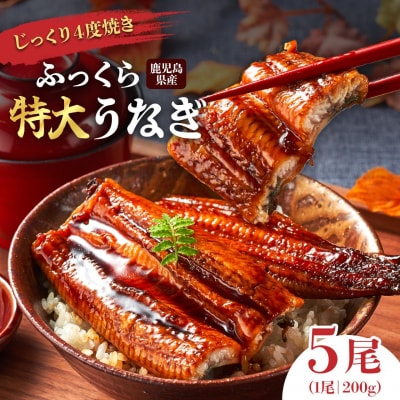 うなぎ 蒲焼 200g×5尾【鹿児島産】地下水で育てた逸品鰻