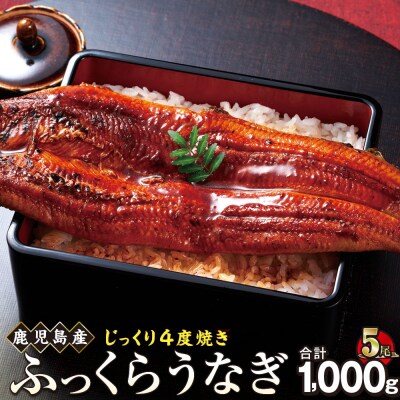 うなぎ 蒲焼 200g×5尾【鹿児島産】地下水で育てた逸品鰻