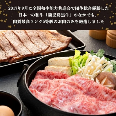 鹿児島黒牛サーロインステーキ(2枚)・すきやきセット(1kg)(E-301)