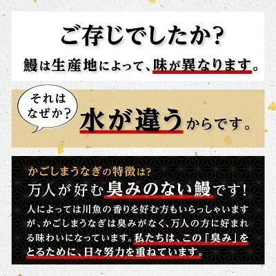 うなぎ 蒲焼 160g×2尾【鹿児島産】地下水で育てた逸品鰻