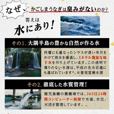 うなぎ 蒲焼 160g×2尾【鹿児島産】地下水で育てた逸品鰻