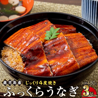 うなぎ 蒲焼 160g×3尾【鹿児島産】地下水で育てた逸品鰻