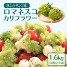冷凍カットロマネスコカリフラワー 400g×4袋(1.6kg)