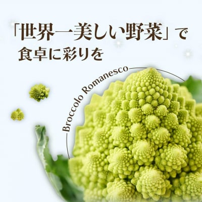 冷凍カットロマネスコカリフラワー 400g×4袋(1.6kg)