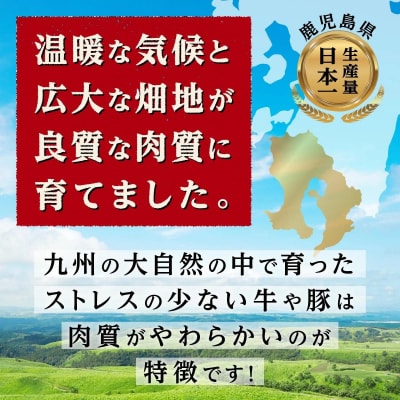 九州産豚肉1.5kg　2種セット　(ロース生姜焼き用350g×2　バラスライス　400g×2　)