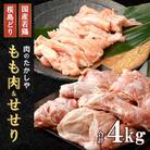 桜島どりもも肉&国産若鶏せせり 4kg