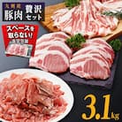 九州産豚肉3.1kg　3種セット