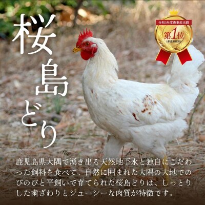 【全3回定期便】鹿児島県産　桜島どり(むね肉)2kg