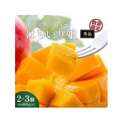 【数量限定/先行受付】マンゴー「はちいり(鉢入り)娘」化粧箱入り