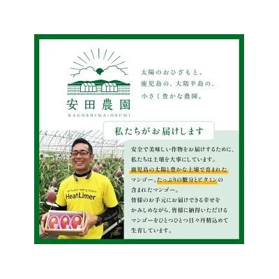 【数量限定/先行受付】マンゴー「はちいり(鉢入り)娘」化粧箱入り