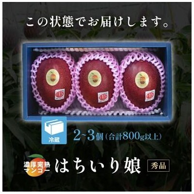 【数量限定/先行受付】マンゴー「はちいり(鉢入り)娘」化粧箱入り