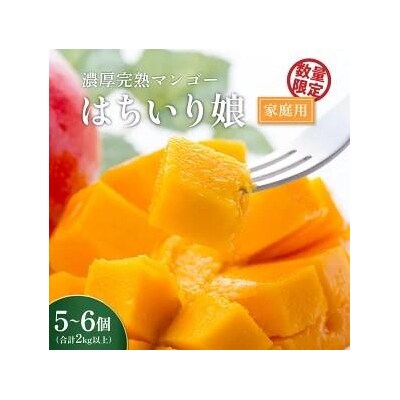 【数量限定/先行受付】 マンゴー「はちいり(鉢入り)娘」(ご家庭用2kg箱入り)
