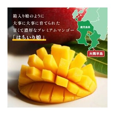 【数量限定/先行受付】 マンゴー「はちいり(鉢入り)娘」(ご家庭用2kg箱入り)