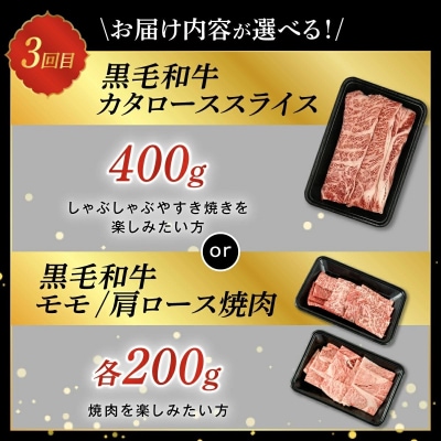 【全3回】鹿児島県産黒毛和牛　満喫定期便　Bセット
