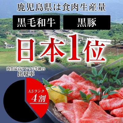 鹿児島県産　和牛リブロースステーキ400g×2P