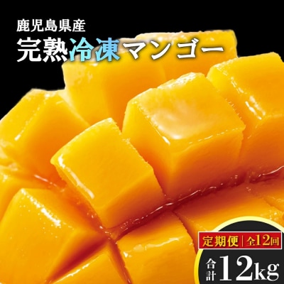 ＜定期便・全12回＞鹿児島県産!完熟まるごと冷凍マンゴー(1回のお届け1kg・2～3個入り)