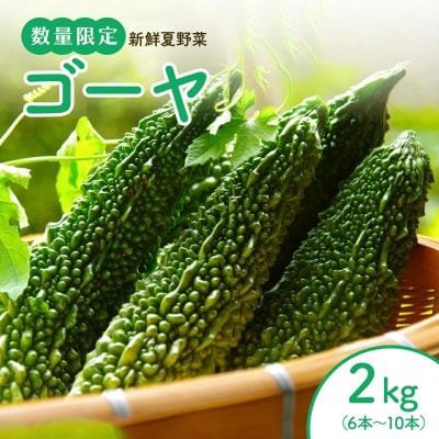 【先行予約】結いの街　新鮮夏野菜野菜!ゴーヤ