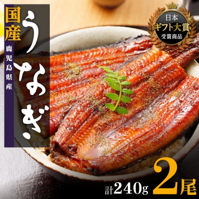 鹿児島県産うなぎ長蒲焼120g×2尾セット