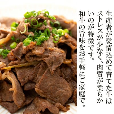 【2週間以内発送】国産和牛切り落とし2.4kg