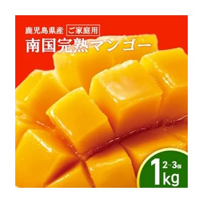 【2026年発送】【ご家庭用】結いの町　南国完熟マンゴー(1kg)