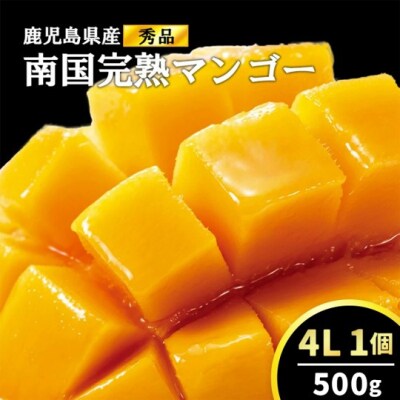 【2026年発送】結いの町　南国完熟マンゴー(秀品大玉 4Lサイズ)500g