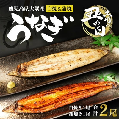 【土用丑の日】鹿児島県大隅産　千歳鰻の白焼1尾・蒲焼き1尾　合計2尾セット(1尾110g～130g)