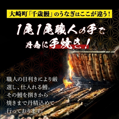 【土用丑の日】鹿児島県大隅産　千歳鰻の白焼1尾・蒲焼き1尾　合計2尾セット(1尾110g～130g)