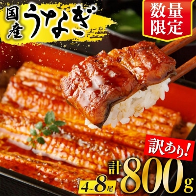 【訳あり】 有頭 鹿児島県産長蒲焼　規格外品(4尾～8尾)　800g