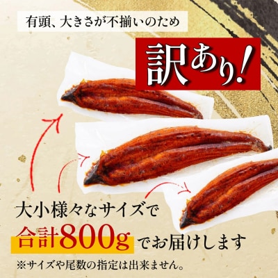 【訳あり】 有頭 鹿児島県産長蒲焼　規格外品(4尾～8尾)　800g