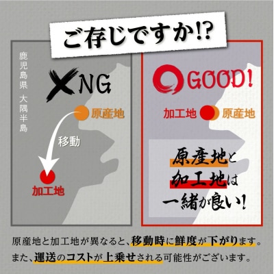 【訳あり】 有頭 鹿児島県産長蒲焼　規格外品(4尾～8尾)　800g