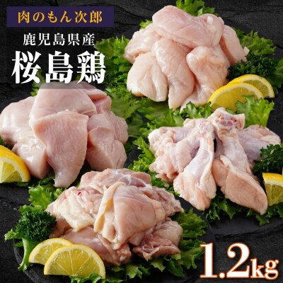 桜島鶏バラエティセット(特製ブライン液仕込み・下味付き)　小分けパック1.2kg(4パック)