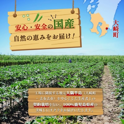 【定期便】 冷凍ブロッコリー&冷凍オクラセット ×6回